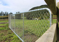 الساخنة المغلفنة 75X75MM سلسلة طول السور بوابة لحديقة الأغنام