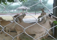 حماية الحيوان الفولاذ المقاوم للصدأ شبكة القفص / حديقة شبكة أسلاك المبارزة المضادة للصدأ