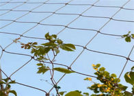2 مم شبكة حبل تعريشة Ss لتسلق النباتات