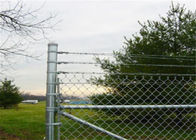 4 قدم × 50 قدم سلسلة ربط شبكة السياج الصلب الفناء الخلفي المنزل الحاجز الحدود مزرعة النسيج الأخضر